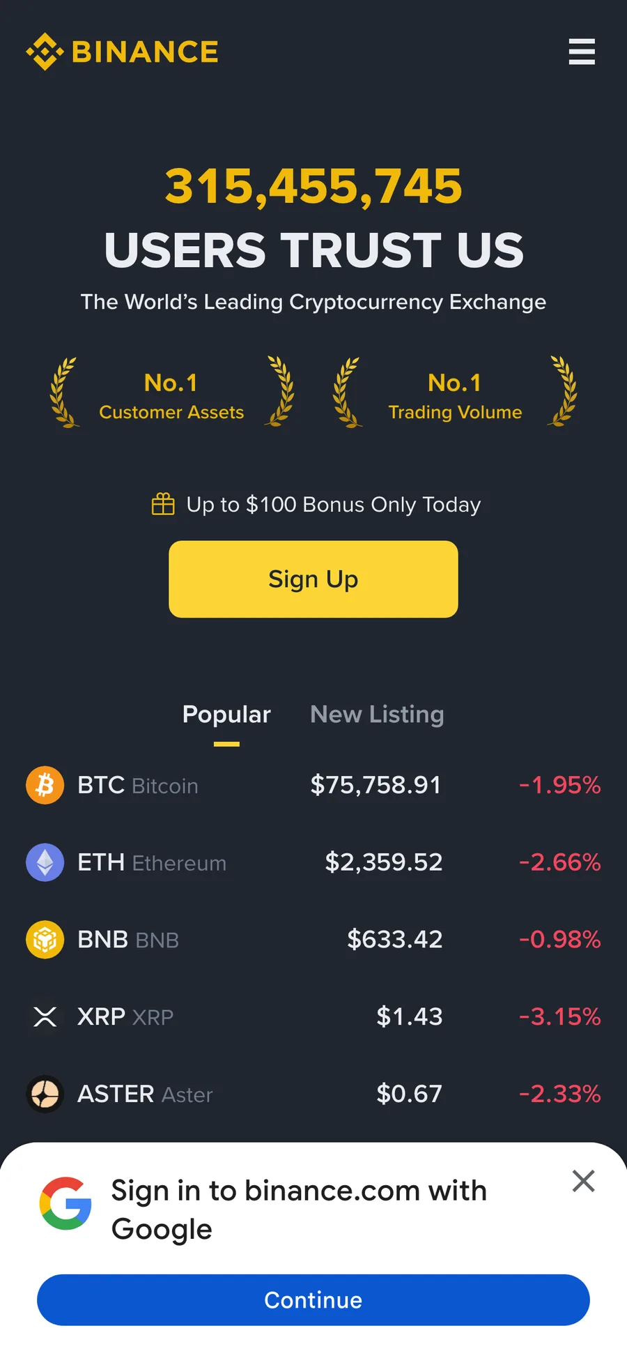 Binance website preview