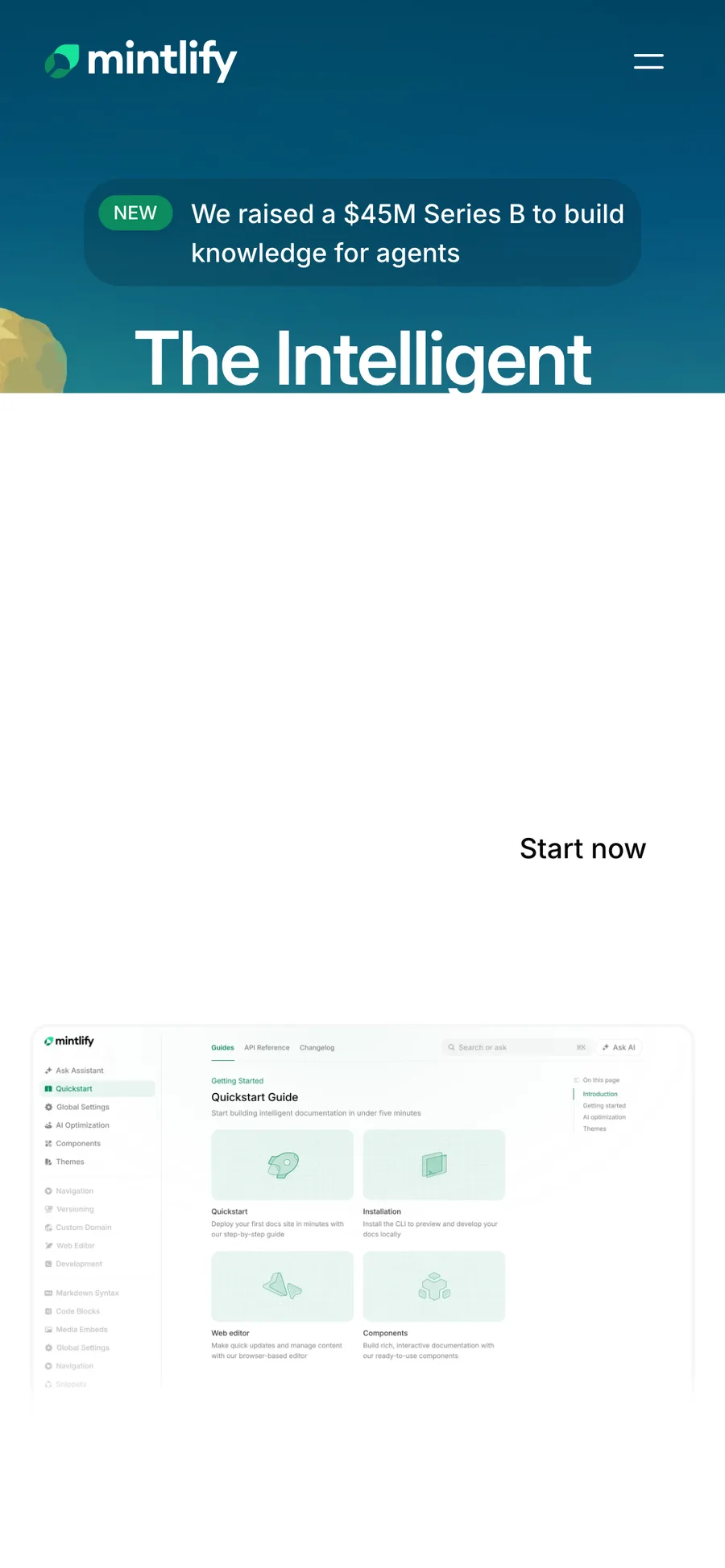 Mintlify website preview