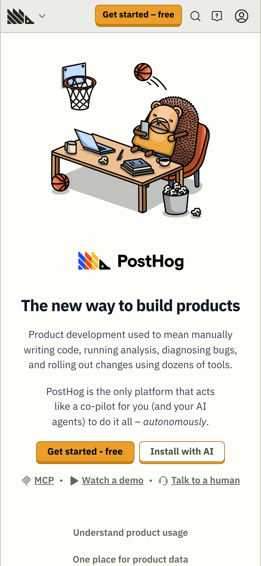 PostHog website preview
