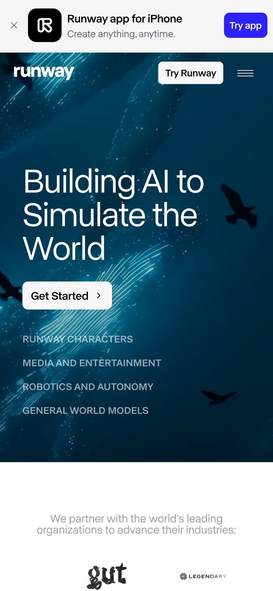 Runway website preview