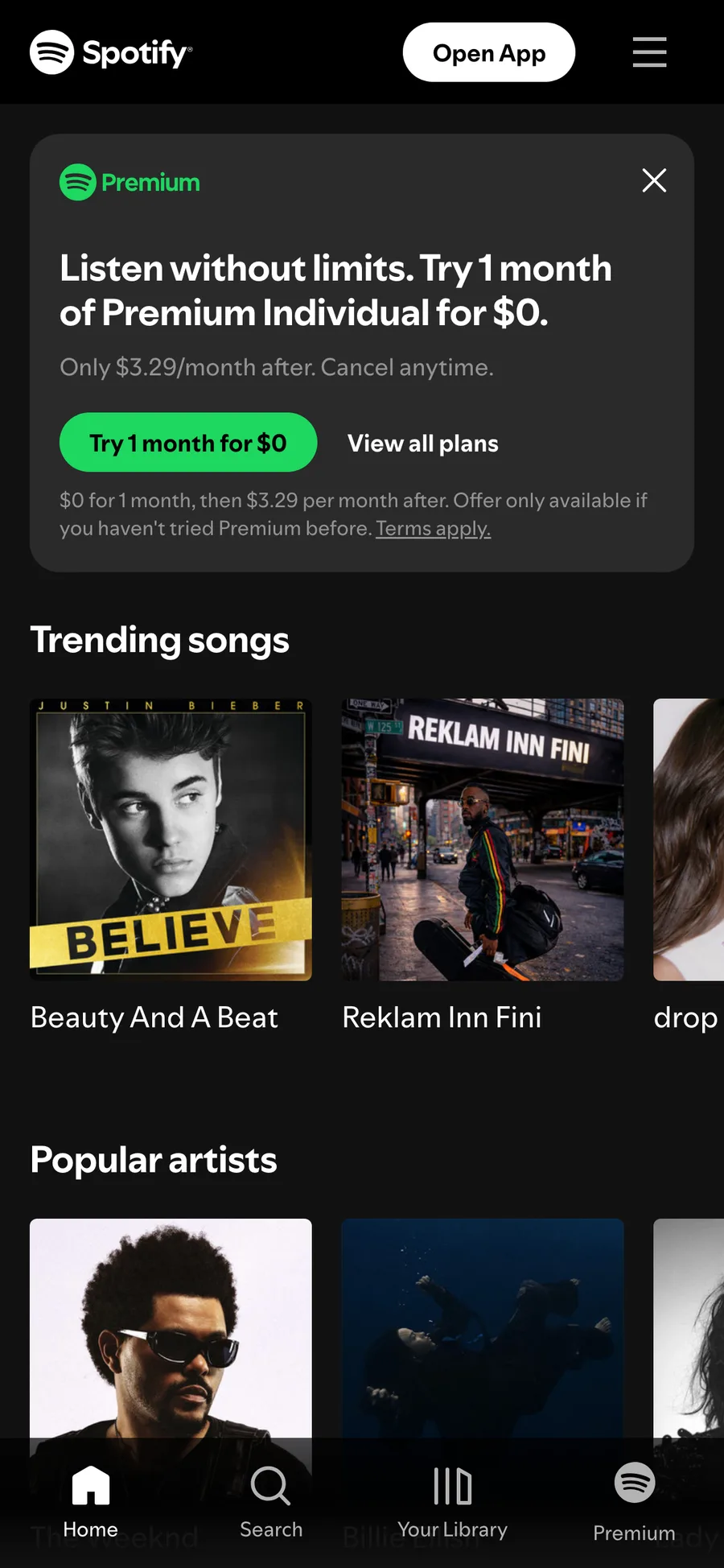 Spotify website preview